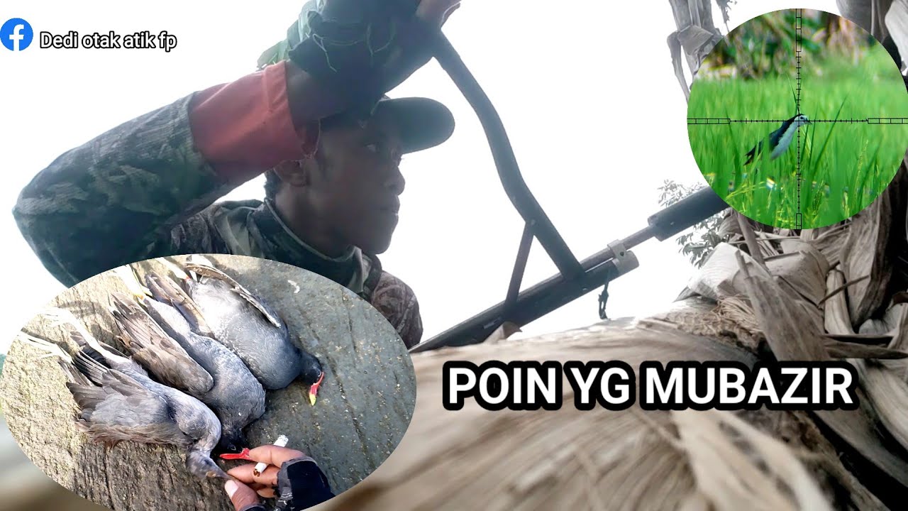 Berburu serabutan, gak dapat burung mandar, ruak2 juga boleh.