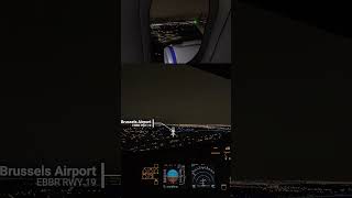 Landing in Brussels | BRU | Scandinavian A321neo | VATSIM | MSFS 2024