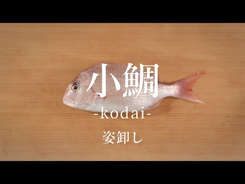 小鯛（こだい）のさばき方  姿卸し