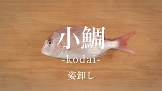 小鯛 こだい のさばき方 姿卸し How To Filet Crimson Sea Bream Ver Sugata Oroshi 日本さばけるプロジェクト 海と日本プロジェクト Youtube