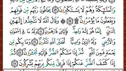 ختمة مصحف التجويد برواية قالون الصفحة رقم 272