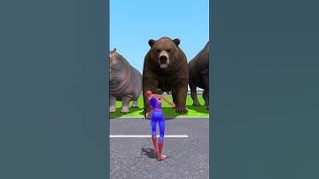 ALL SIZE COMPARISON KIND ANIMALS ZOOCHOSIS FROM SMALL TO BIG in Gmod ! CHOOSE YOUR FAVORITE #shorts