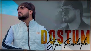 Elgiz Familoglu - Dostum (Official Klip) 2024