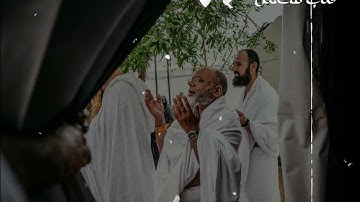 نسمات التراويح رمضان 2024 | تلاوة تريح القلوب