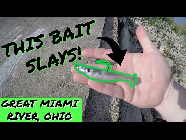 My first time ever trying BIG JOSHY SWIMBAITS in the Great Miami