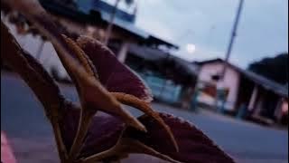 Suasana saat bulan puasa tiba 2022 || terbaru story wa keeren 2022