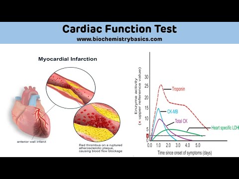 Cardiac Biomarkers Biochemistry || Cardiac Function Test Biochemistry