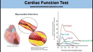 Cardiac Biomarkers Biochemistry || Cardiac Function Test Biochemistry