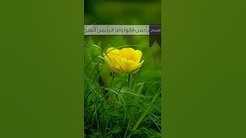 من سورة  [الفرقان: ٥٨-٦٠] بصوت خالد الجليل