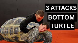 3 High Percentage Escapes From Turtle Position