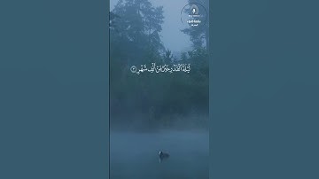 سورة القدر راحة نفسية