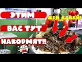 🔴➊ Ем китайскую еду с наркотиками? Лечебный суп с муравьями и со странными листьями! Китайское кафе