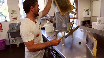 Harvesting Honey - Beginner Beekeeping