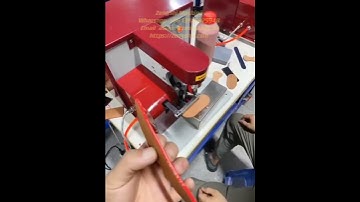 Full automatic edge coloring machine