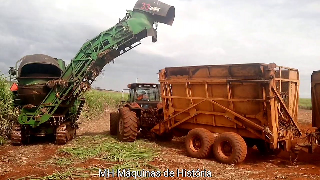 O processo de colheita de cana de açucar e carregamento no rodo-trem (road trains)