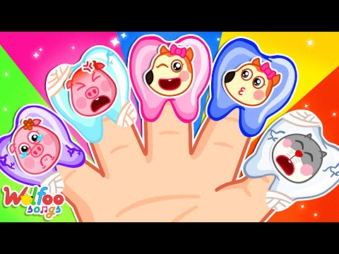 Finger Family (Baby Teeth version) 👶 Baby's First Teeth Song 🎶 Wolfoo Nursery Rhymes & Kids Songs