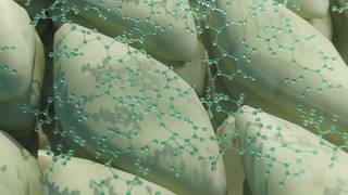 Complex Research Made Visual | Medical Animation Demo | Scrolly Science Wealth