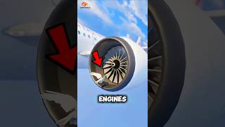 Why Airplane Engines DON’T Have Bird Barriers?