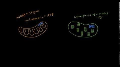 Extranuclear Inheritance Part 1