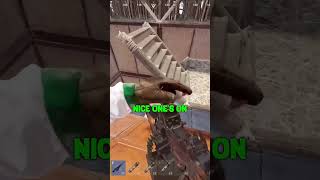 Mini Crashing the Raid | Rust