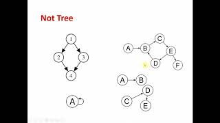 Tree Basics