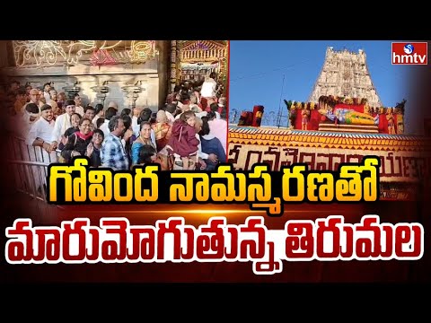 గోవింద నామస్మరణతో మారుమోగుతున్న తిరుమల | Vaikuntha Ekadashi | Tirumala | hmtv - HMTVNEWS