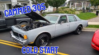 Cold start, mild 305 Caprice Classic.