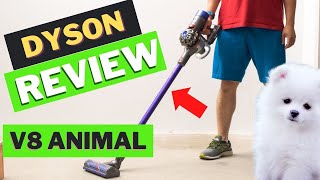 Dyson V8 Animal Review 2022: This Cordless Vacuum Is the Best Vacuum I've  Ever Owned