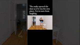 The snake opened the door 😱 Australia #viral #shorts #snake #australia #funny #fail #fun #funnyvideo