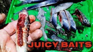 HERRING & SQUID BAIT ELASTIC tutorial and how to hook it