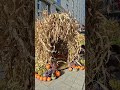 #Dekoracje na Halloween#Jesienna dynia#Jesienna dynia Wystawa Wieży Jedności w Krakowie#JRworld#2025