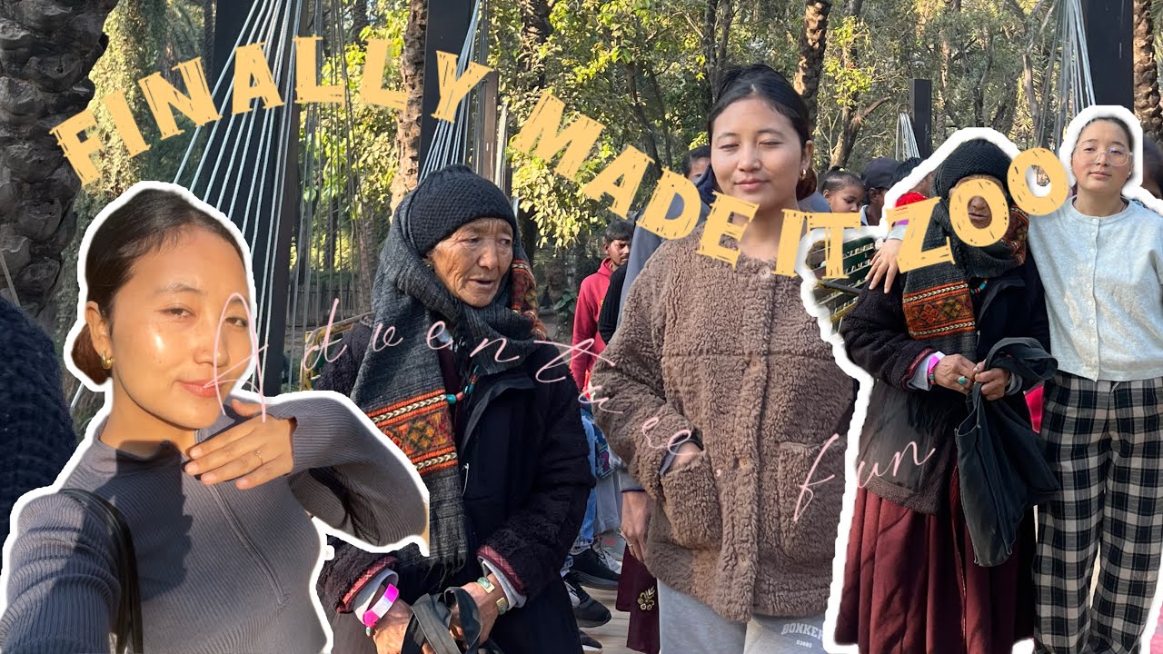 Finally made it ZOO 🐅🐘🐈🐺🦮🦃 // wild adventures