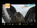 هانى شاكر رب الملكوت 
