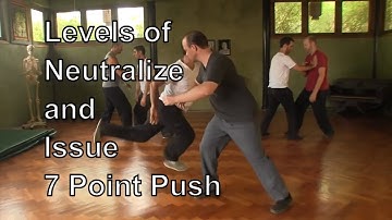 Taichi 7 Point Push Neutralize (Hua) and Issue (Fa) Levels by Sifu Adam Mizner (2015)