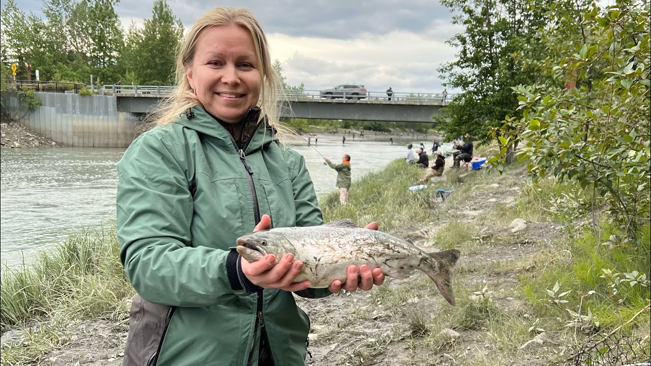 Ship Creek King Salmon Fishing Anchorage, Alaska June 2022 YouTube