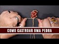 Como Castroar uma Pedra | Tutorial Castroado