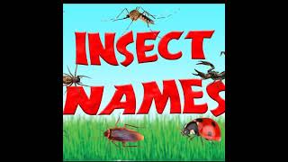 SSIS - Insect's name