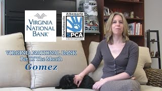 VNB Pet of the Month - April, 2015 by CharlottesvilleSPCA 116 views 9 years ago 54 seconds