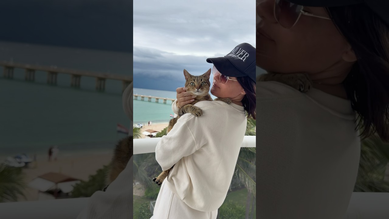 Ocean views are even more beautiful with my lovely cat Spike in my arms. 🌊🐾🤍 #ocean #cat