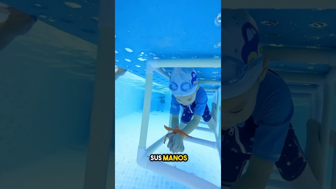 así es como nadan estas personas profesionales ❤️ (explicado)