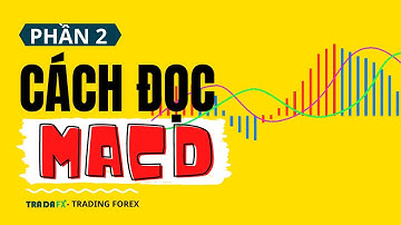 Bài 6: Cách đọc phân kì MACD | P2: Cách hiển thị xem và đọc biểu đồ MACD