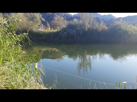 Video: Kışın Havuz Sazanı Yakalamak