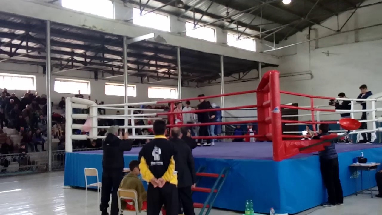 saqartvelos chempioni boxshi - YouTube
