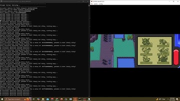 Pokemon Shiny Hunting automation/bot