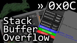 First Stack Buffer Overflow to modify Variable - bin 0x0C screenshot 1