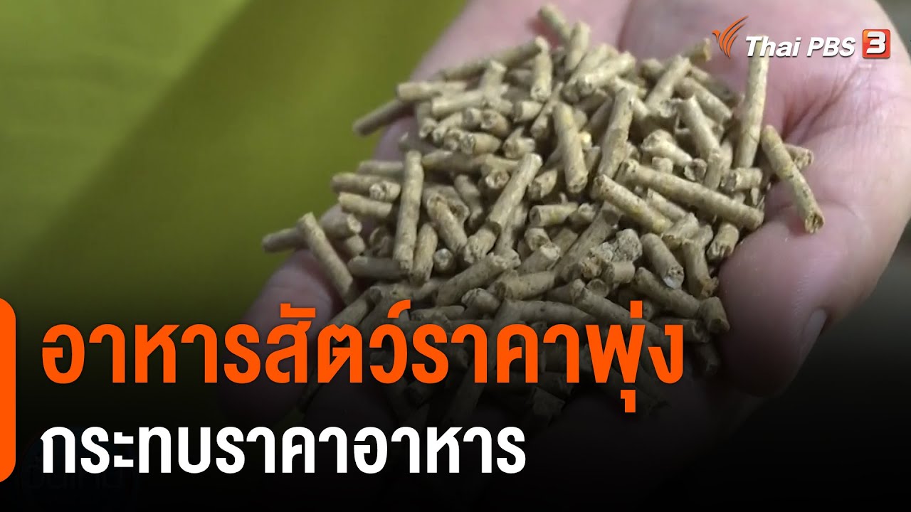 อาหารสัตว์ราคาพุ่งกระทบราคาอาหาร : กินอยู่รู้รอบ | สรุปข้อมูลที่เกี่ยวข้องอาหาร สัตว์ คือที่สมบูรณ์ที่สุด