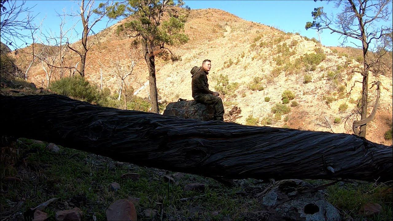 Exploring The Napperby South Australia. YouTube