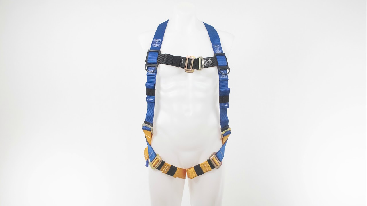 Langhoff Werner | Harnesses | H321002 北欧AOR名盤 Distance Safe 洋楽