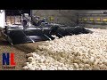 Modern Farming Technology with Cool Machines for The Highest Productivity