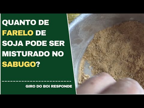 02/05/2022 - Quanto de farelo de soja pode ser misturado no sabugo?